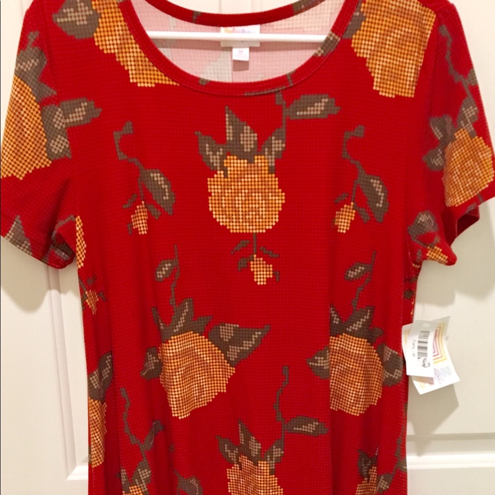 LuLaRoe Carly Dress
